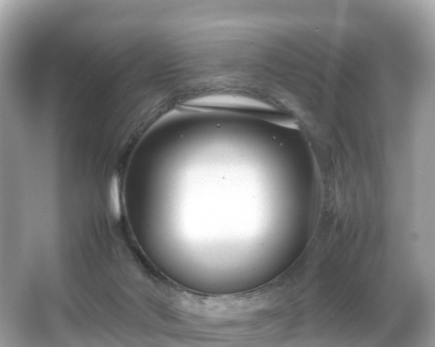 X0000066100022200603131242