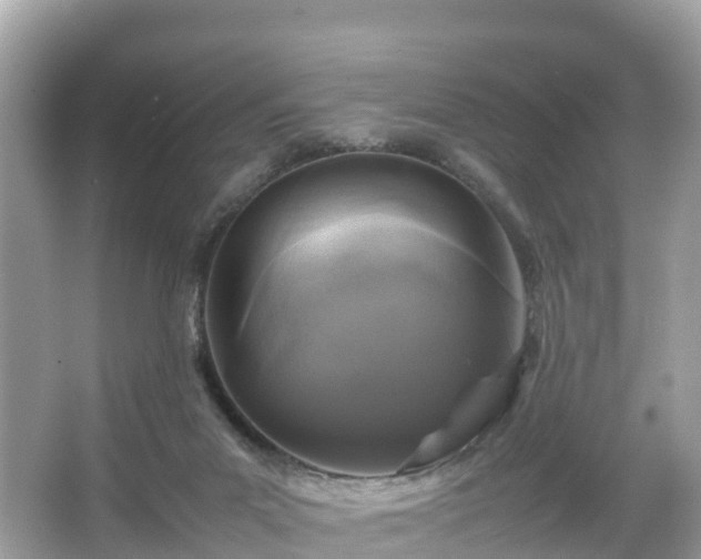 X0000066100023200603131242