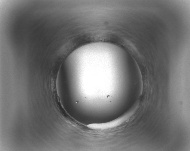 X0000066100025200603131242