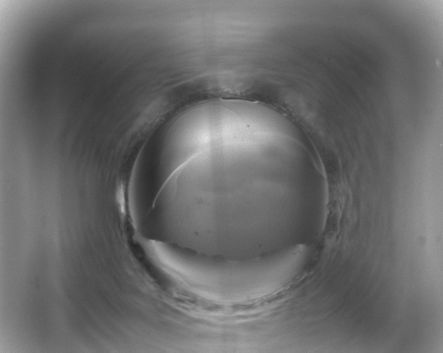 X0000066100027200603131242