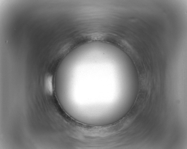 X0000066100028200603131242