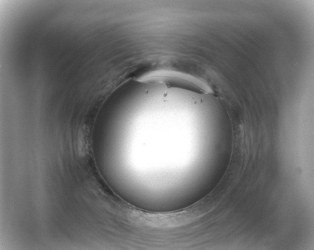 X0000066100030200603131242