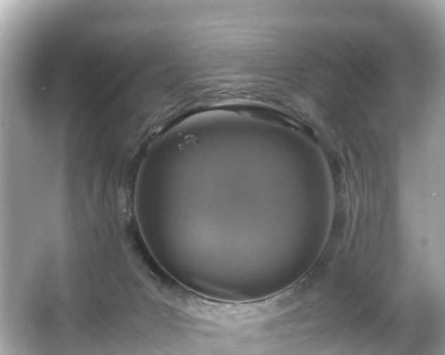 X0000066100031200603131241