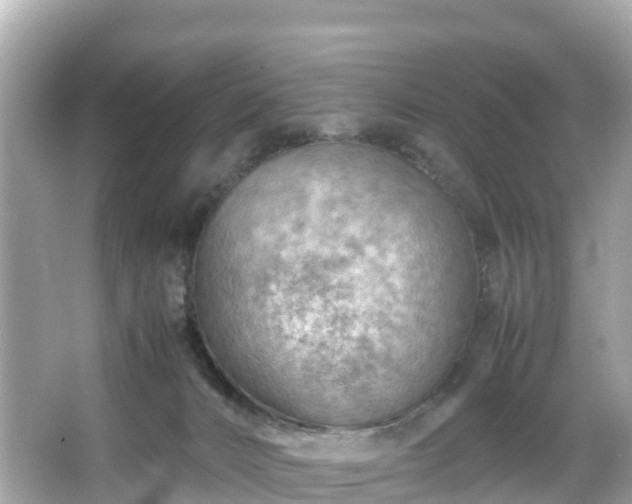 X0000066100032200603131241