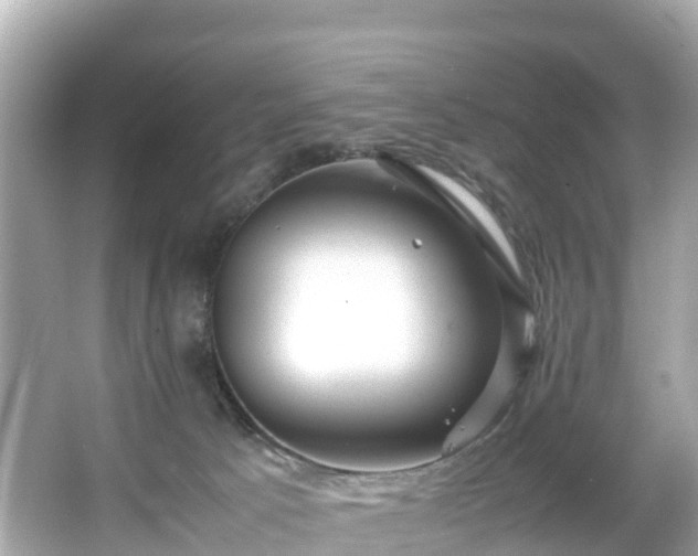 X0000066100033200603131241