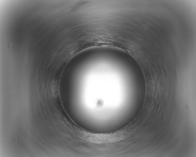 X0000066100034200603131241