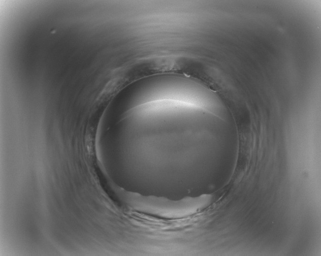 X0000066100035200603131241