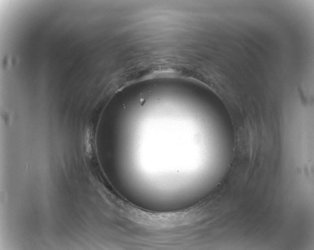 X0000066100038200603131241