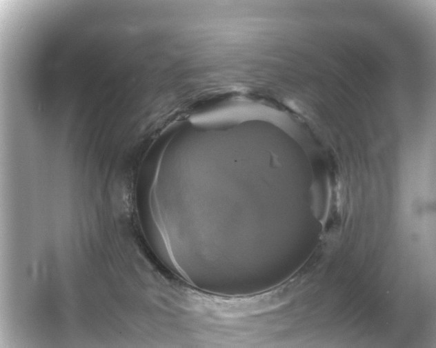 X0000066100039200603131241