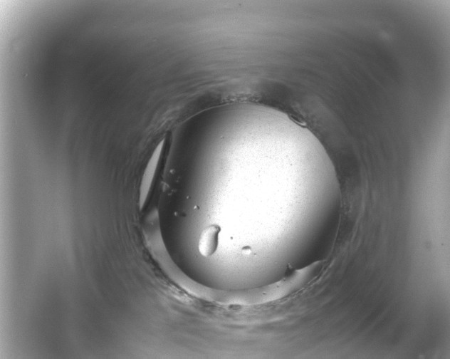 X0000066100041200603131241