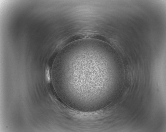 X0000066100042200603131241