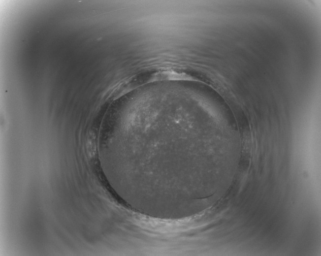 X0000066100043200603131241