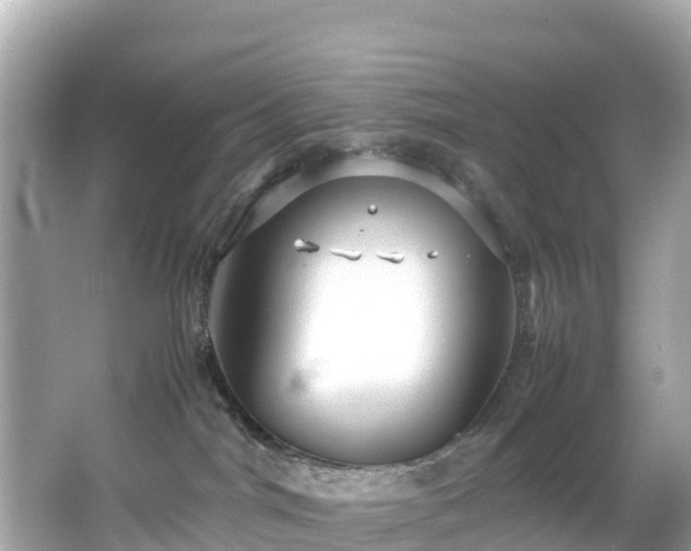 X0000066100044200603131241