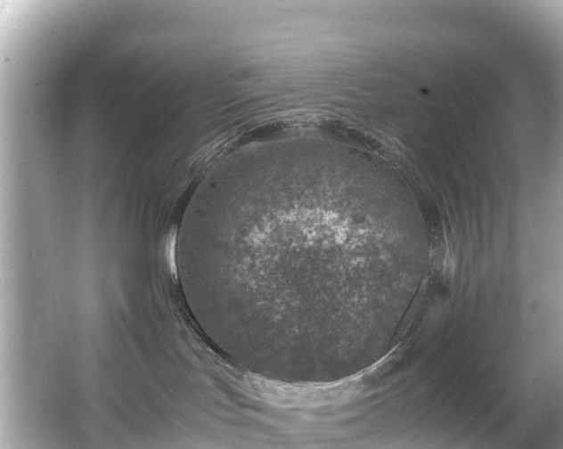 X0000066100047200603131241