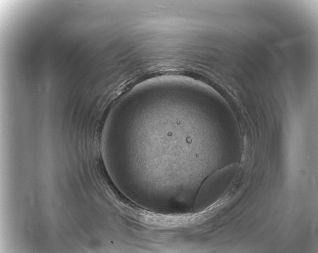 X0000066100048200603131241