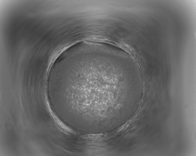 X0000066100049200603131240