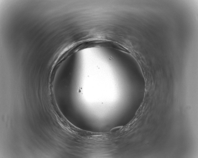 X0000066100050200603131240