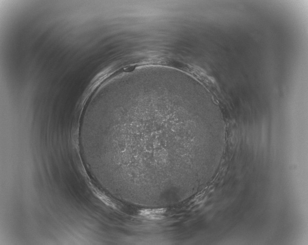 X0000066100051200603131240