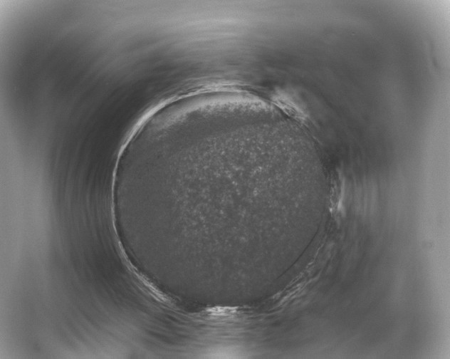 X0000066100052200603131240