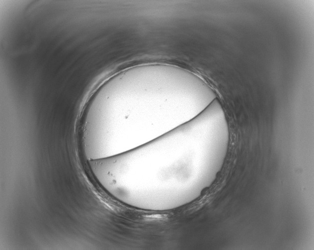 X0000066100053200603131240