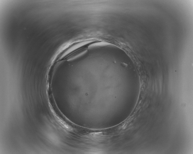 X0000066100054200603131240