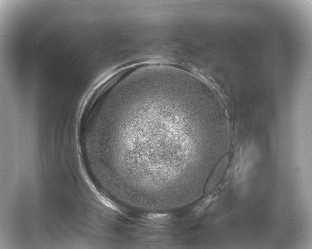 X0000066100055200603131240