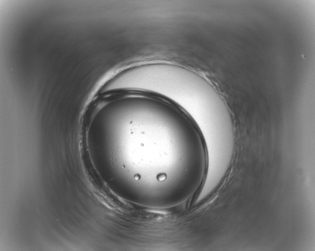 X0000066100056200603131240