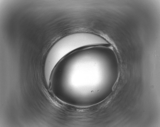 X0000066100057200603131241