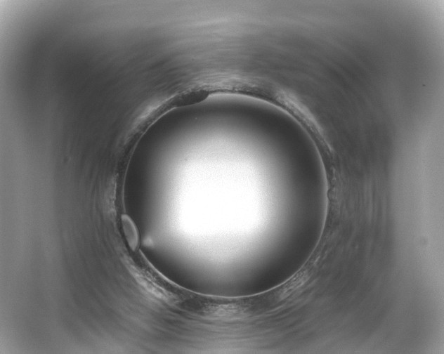 X0000066100058200603131241