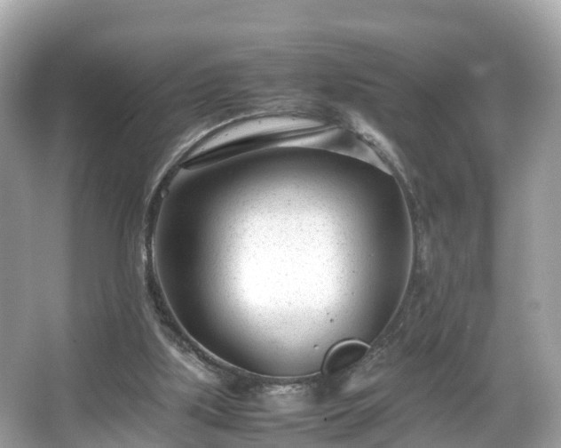 X0000066100059200603131241