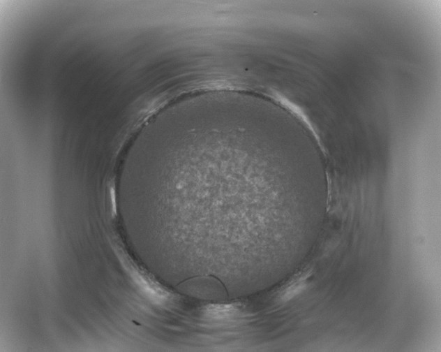 X0000066100061200603131241