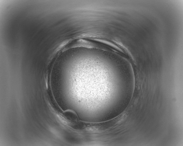 X0000066100062200603131241