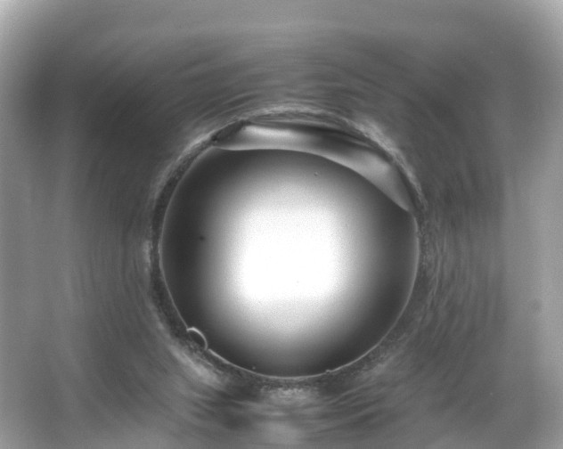 X0000066100063200603131241