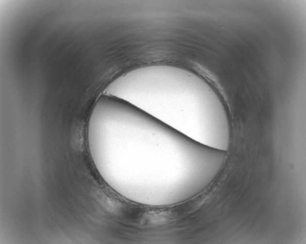 X0000066100065200603131241