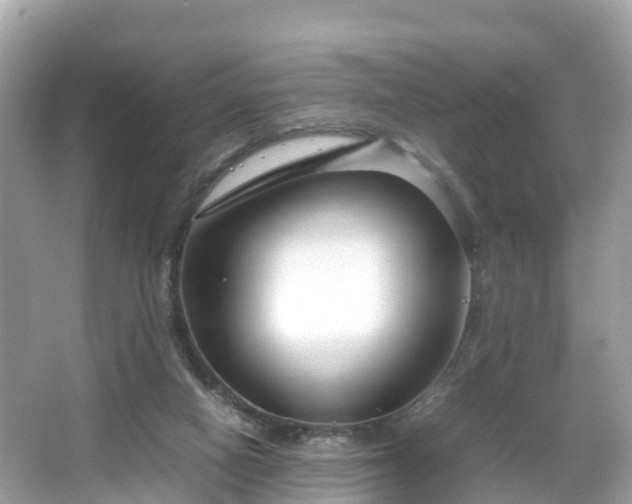 X0000066100066200603131241