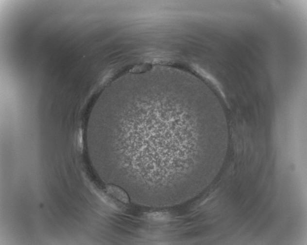 X0000066100067200603131241