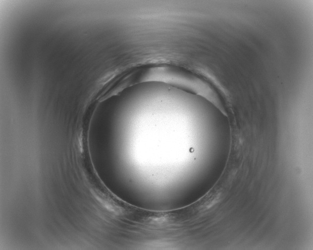 X0000066100068200603131241