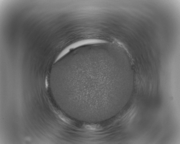 X0000066100069200603131241