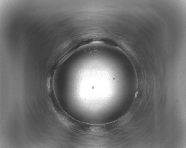 X0000066100070200603131241