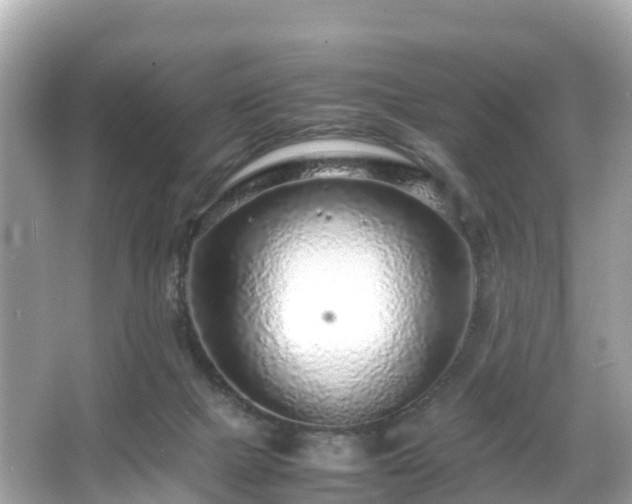 X0000066100073200603131241