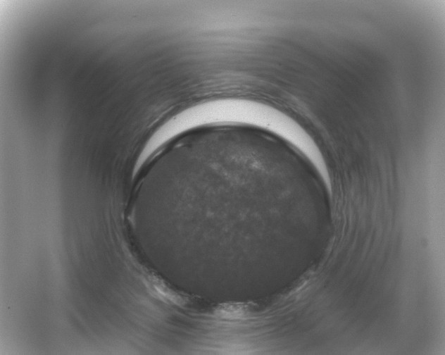 X0000066100076200603131241