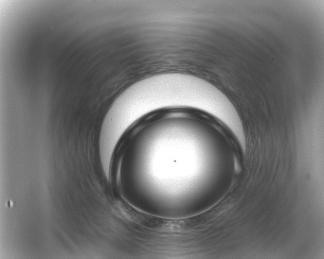 X0000066100080200603131241