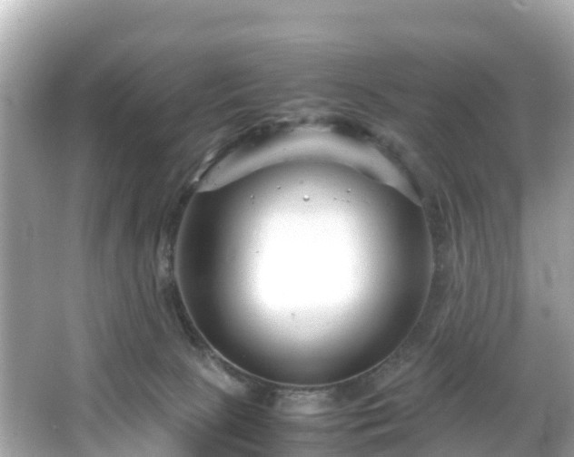 X0000066100081200603131241