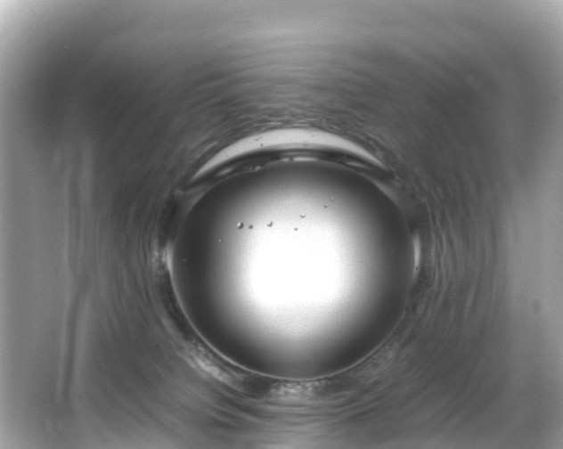 X0000066100084200603131241