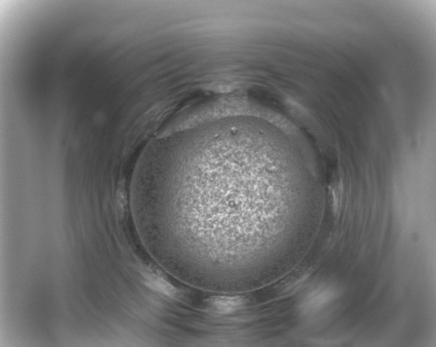 X0000066100085200603131241