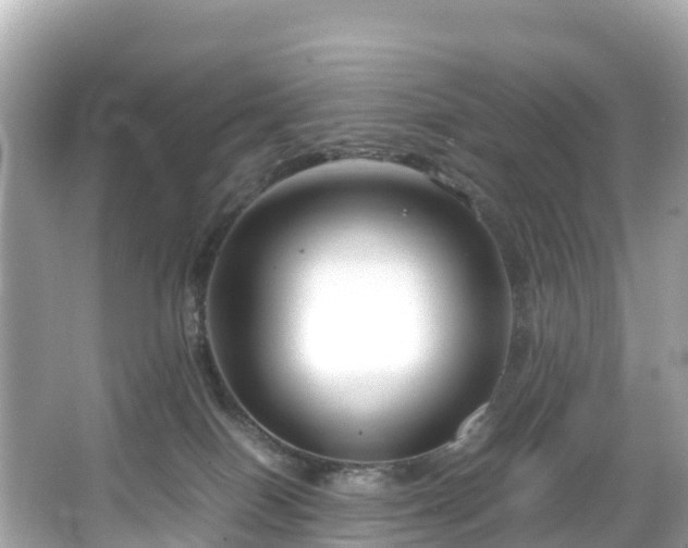 X0000066100086200603131241