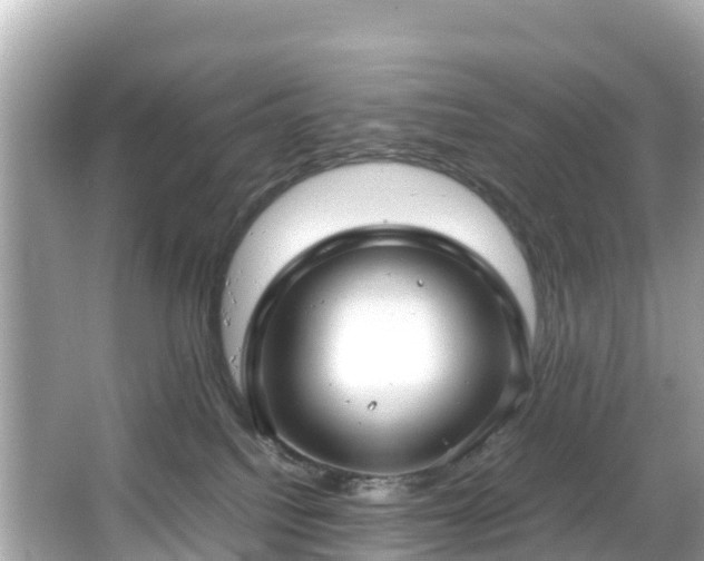 X0000066100088200603131241