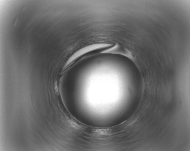 X0000066100089200603131241