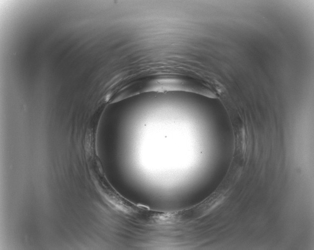 X0000066100092200603131241