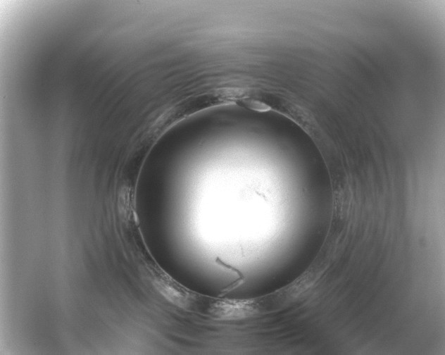 X0000066100093200603131241